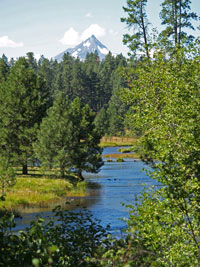 Metolius River