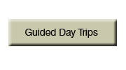 guided day trips