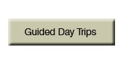 guided day trips