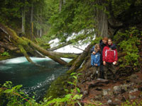 Sahalie Falls on McKenzie River